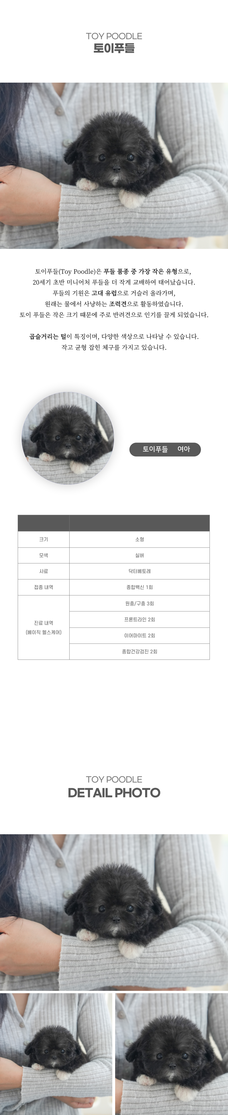 토이푸들_상세이미지_2